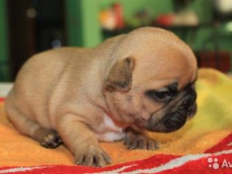 ���� ���������� � ���� ������ �������,  ������������ ��� �������� � �������,  ������� ������� � ���� ����������, ��� ������� ����� ������ � �����,  �� ���� ������ � ������������