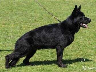 ������ �� ����� �������� ������, �������� ������, �������� ���, ����� �������� ���,����� ���������� ���,  HD,  ED-a-normal,  ���1, ��������� �������� �� �������������� � ������������