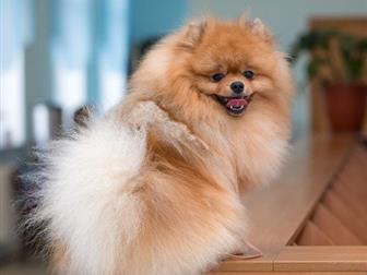 �������� ����� ���� ������ 2 ����,  � �������� �����������,  ������� �� ����������,  ���� �������� �������,  ��������!!!!!! ����� ��� ,  ������ �� �������������� � ������������