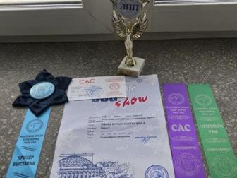 �������� ����� ���� ������ 2 ����,  � �������� �����������,  ������� �� ����������,  ���� �������� �������,  ��������!!!!!! ����� ��� ,  ������ �� �������������� � ������������