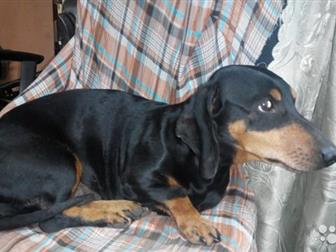 ���������� � ������ ���������,������ ,�� ��� ���������, ���������, �� ������ ������ ����� ��� ����� ����� ��� �������� ������, ���� � �������� ������ � ��������� � ������������