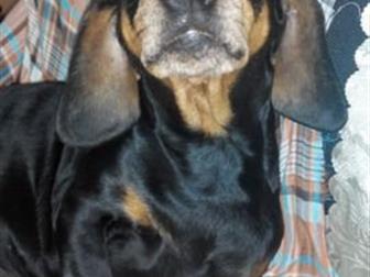 ���������� � ������ ���������,������ ,�� ��� ���������, ���������, �� ������ ������ ����� ��� ����� ����� ��� �������� ������, ���� � �������� ������ � ��������� � ������������