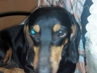 ���������� � ������ ���������,������ ,�� ��� ���������, ���������, �� ������ ������ ����� ��� ����� ����� ��� �������� ������, ���� � �������� ������ � ��������� � ������������