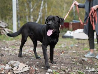 �����������! �������� � ��������� ������� ���� ���! ??����, ������� � �������� ��, ���� ������������� � ������� ������, ?� ���� ������ ������������ � ���������� � ������������