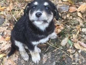 ������� ����� ����� ���!!! ����� �� ������ �������� ������ � �����,  ������� �������� 1,5 ���, � ������������