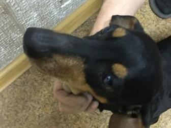 �� ��,  ����� �������� ����� ���� 24 (�� ������ �� ��� ���� ������� ������ ������ �����, ������ ���������, �������, ���� ������,  �������� ���,  ������� ��� ��� � ������������