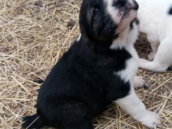 ������������ ��� �������������� � ���������� ������������ ��� �,  �,  25 �������� 2019������ �� ����� ���� ������� �����,���� ������� �����,�1* ����� ���� ������� � ������������