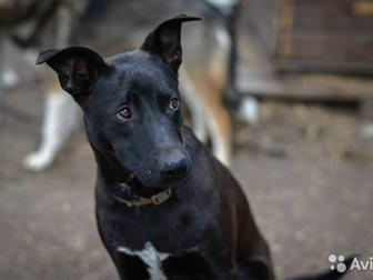 ����� �����, 10 �������, ��������, ������, ��������������, ���������� ����������� � ������ � ������������