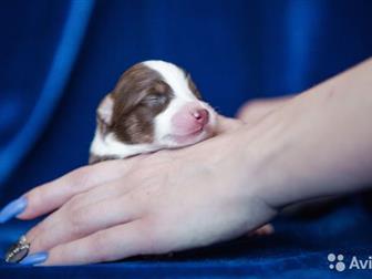 ������������� ������� ��� ��������� ���� ����� �������� �������� ��� �� ������ ��� ���������� �������� �������� ������ �����: ������ ����� ����������, ������������������� � ������������