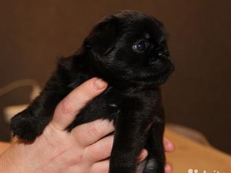 ������� , ����������� �������, ������� ������, ������ ������, �������� ������, �, �,  16, 09, 2019�,  �������, �������, ��������,  ��� ���������� !� ������� �������� � ������������