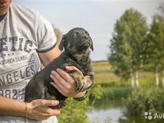 ������� ������ ���� ������� � ������,  ��� ��� ���� ������? � ����� ����� �� ������������ ������ ����� ����� ����� ����? ������!������� ����� �������, ������, ��������, � ������������