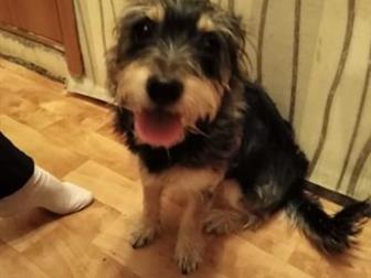 ������� 8 �������! �������� ����� ������! ��� ������� �� ��������!!!! � ������������