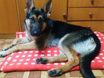 ������� ������, ����, ������� �� ��������� �������� ������� � ������������