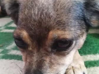 � ����������� ������ ������� ��������� �������,  �������, �����������,  �����, ��� ���� ��������,  ��������, �����������, ����� �������, �� ������ ������ � ������, � ������������