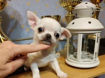 �������� ������� �������� ��������� ������, �, �,  14, 09, 19 � �������� ��������� �������, ��������, ��������, ����������, �� ����, ������������ ����� �� ��������, � ������������