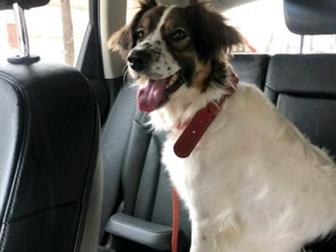 11 ������� , �������������, ������� , ����� ���������� ����� , ������� ������� � ����� ��� ���� ����,  ��� ����� ��� ��� �� ������ ����� �� � ������,  �������� � ������������