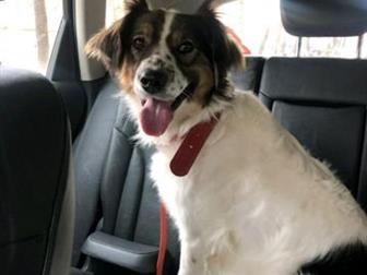 11 ������� , �������������, ������� , ����� ���������� ����� , ������� ������� � ����� ��� ���� ����,  ��� ����� ��� ��� �� ������ ����� �� � ������,  �������� � ������������