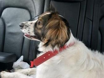 11 ������� , �������������, ������� , ����� ���������� ����� , ������� ������� � ����� ��� ���� ����,  ��� ����� ��� ��� �� ������ ����� �� � ������,  �������� � ������������