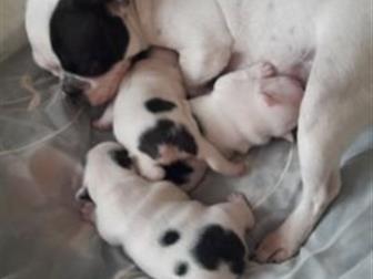 ��� �������������� �������,  �������� 24, 09, 19 ,  ������ ��������������,  ���������������, � ������������