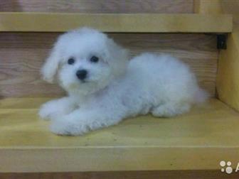 �������� �������!3 ���, �������,��� �������,�������� �� ������, ������ �������� ���, ������������, ����� �����������, ����� �����! �����-����������� �������! ������ � ������������