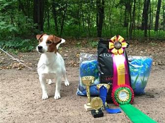 ������������ ��� ���������� ������������� �������������� ������,  ����� ����� ������������� (��������� ������ ������, ���������, ����������),   ���������� ��������, � ������������