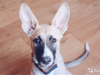 ���� ����� , ���� ����������� ��� ,  ����� 5 �������,  ������� ,����� �����, ���������� �� ��������� , ������� , ����� ��������� � �����,  ����� ������ ��������� � ������������