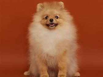 �������������� �����, ����� �������� �� ������! ����� ��������, ���������,  ��������� ������, ����� ������, ������� ������� ���,  �� ���� ������ ��� ����� ������� � ������������