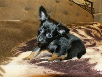 ��������� � ������� ����� ��������������� ���� ���-�������,  ������� ����� � ������, ������� ������ � ��������,  ����� ������ � �����������,  �/� 7 �������,  �� � ������������