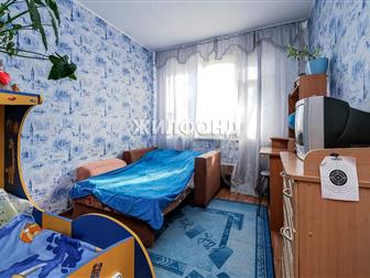 2 ,    ,  ,   : 43, 80 , ,  
 
   2  ,     -   ,  