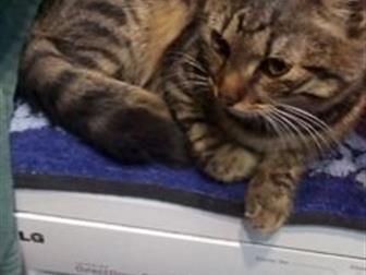   1,5-2  ,   ,  ,    ,             