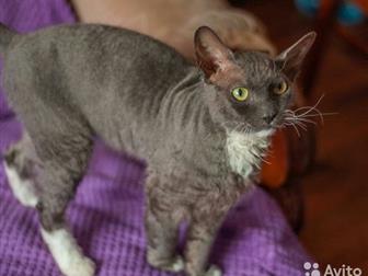  -   !    !  ,      , , , , ?    ,  