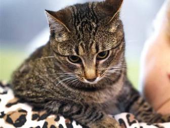        ??,    8 ,  , , ,  ,     ,   