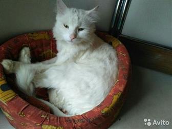   ,   () 5 ,    ,  ,      ,  