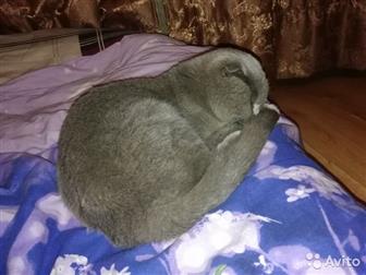      (),     ,         (    ,        