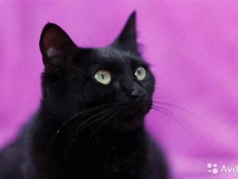      ,        !    ,    ,  