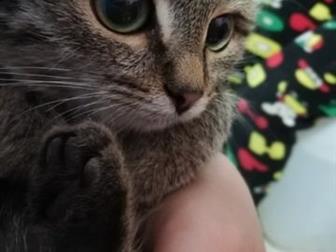       ,   3 ,  ,   ,,   ,     ,  