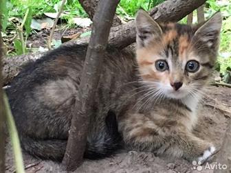    -    !    ,      ,      !    