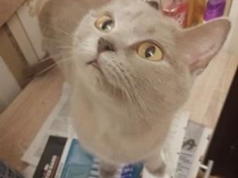   ,  1,5 ,          ,      ,  