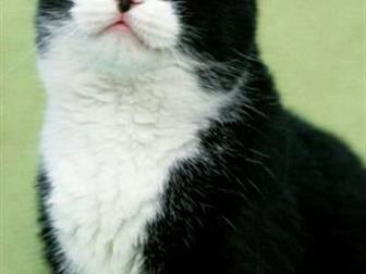     !    !   ,      ,     ! 7,  