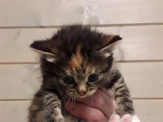 , , ,       ,  , , , ,   ?     ,     