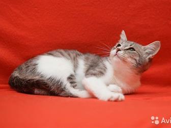          7 ,       ,    ,    ,     