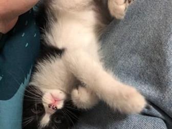      3 , ,   ,    ,      ,   ,  