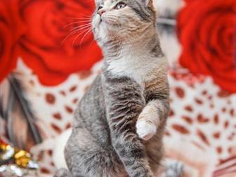  -    - , !)  ) 5 ,,  )   ,    ,  