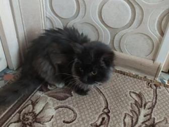 ,            ,     ,   ,        ,  