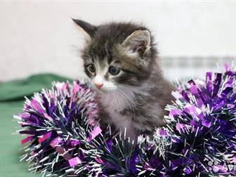 , 1,5 !    !    !   !    !  