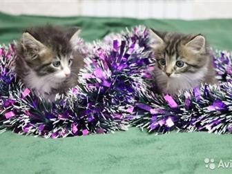 , 1,5 !    !    !   !    !  