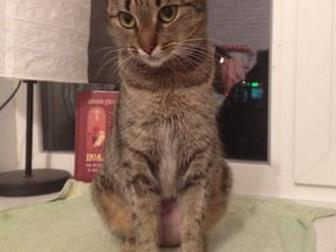  -  ,     , , ,   ,     ,  