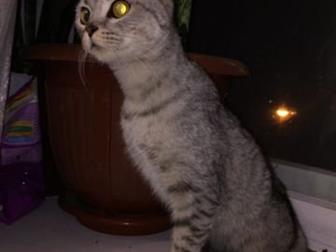     , , ,     ,   ,      ,        ,  