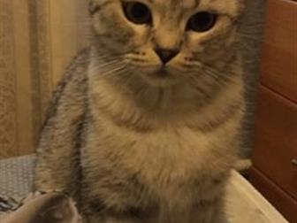     , , ,     ,   ,      ,        ,  