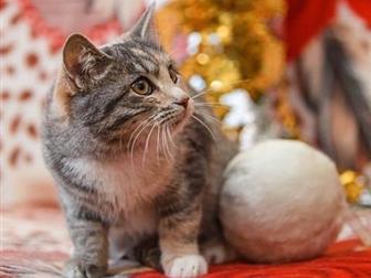    !    , , , ,  , ,  5 ,      )    